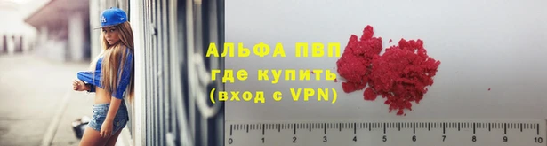 не бодяженный Аркадак