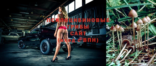 не бодяженный Аркадак