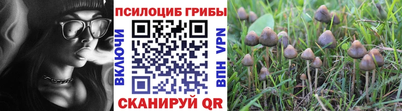 Псилоцибиновые грибы Magic Shrooms  наркота  Лобня 