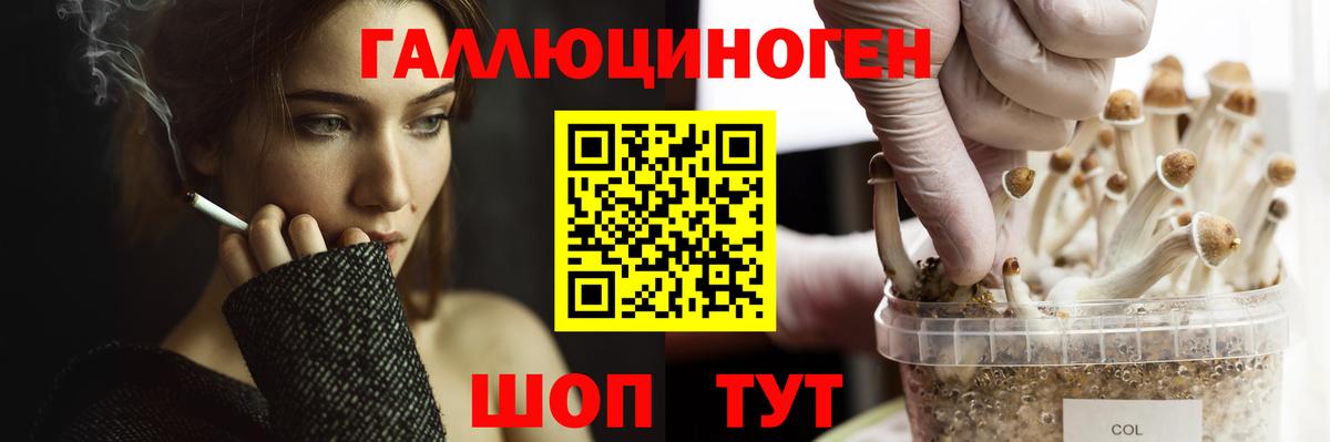 Лобня  Псилоцибиновые грибы Magic Shrooms  Вход с VPN  Галлюциногенные грибы мицелий 