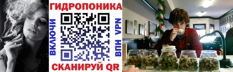 наркотики omg ССЫЛКА Марихуана сатива Лобня